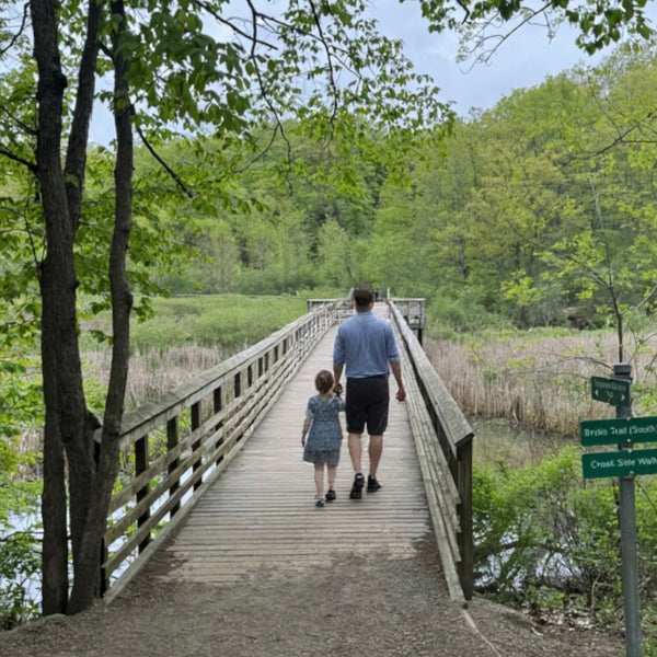 Family Fun - Mystery Day Trips