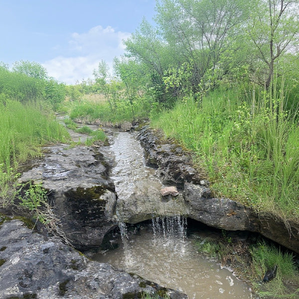 A Walk on the Artsy Side - Mystery Day Trips