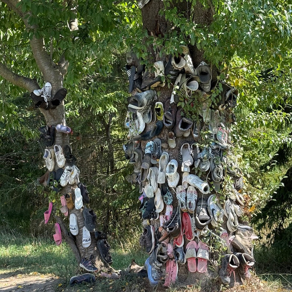 Trail of Timeless Tales - Mystery Day Trips