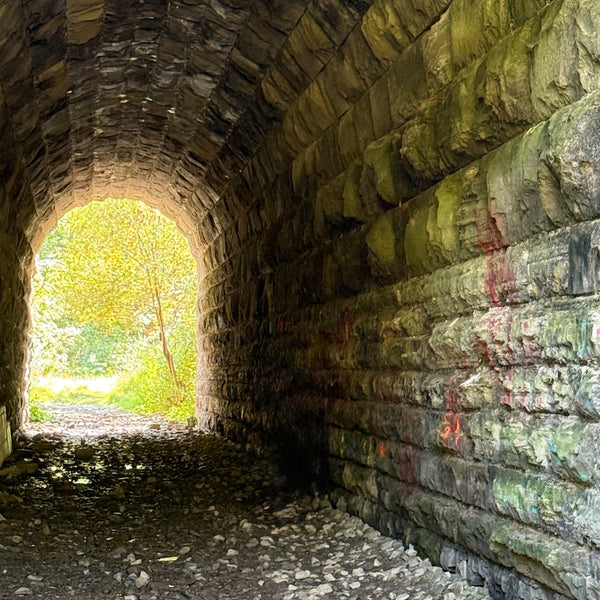 Trail of Timeless Tales - Mystery Day Trips