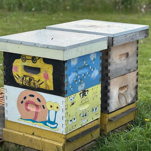 Two colourful bee hives with cartoon designs on a grassy background - sights seen during Family Fun - Mystery Day Trips.