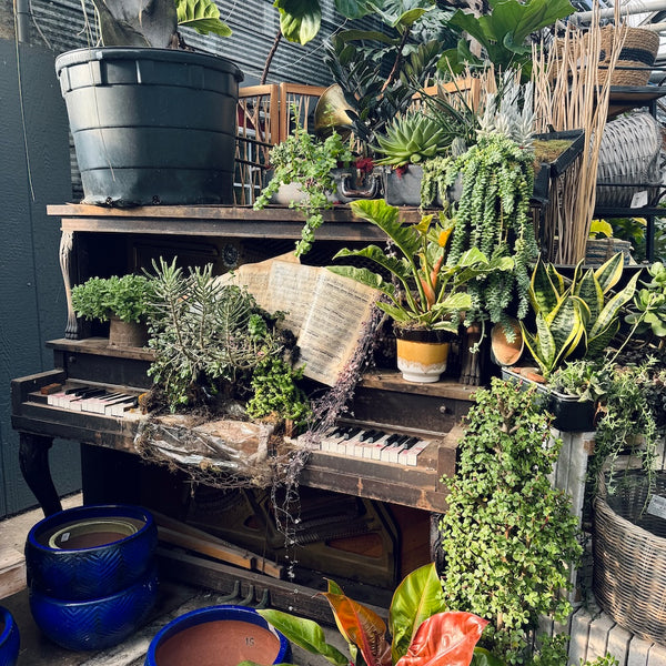 Vineyards & Villages - Mystery Day Trips