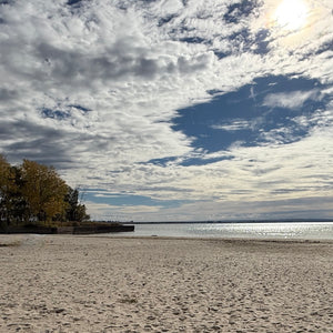Beach scene with trees and a cloudy sky - sights seen during Parkways & Pitstops - Mystery Day Trips.