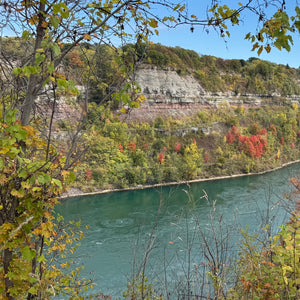 Scenic view of a river with a cliff and trees displaying autumn colours - sights seen during Parkways & Pitstops - Mystery Day Trips.