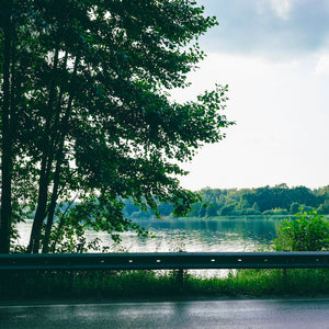 Lake scene with trees and a guardrail in the foreground.