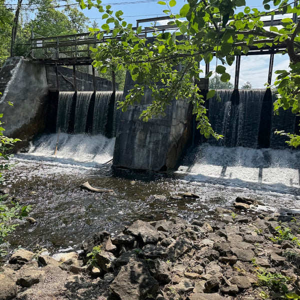 Takeoff to Hidden Treasures - Mystery Day Trips