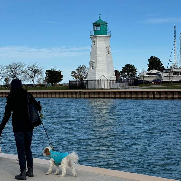 Secrets of the Canal - Mystery Day Trips