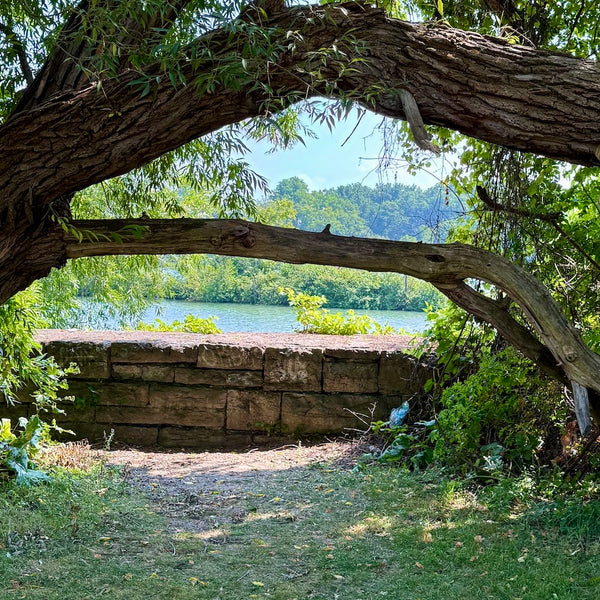 Secrets of the Canal - Mystery Day Trips